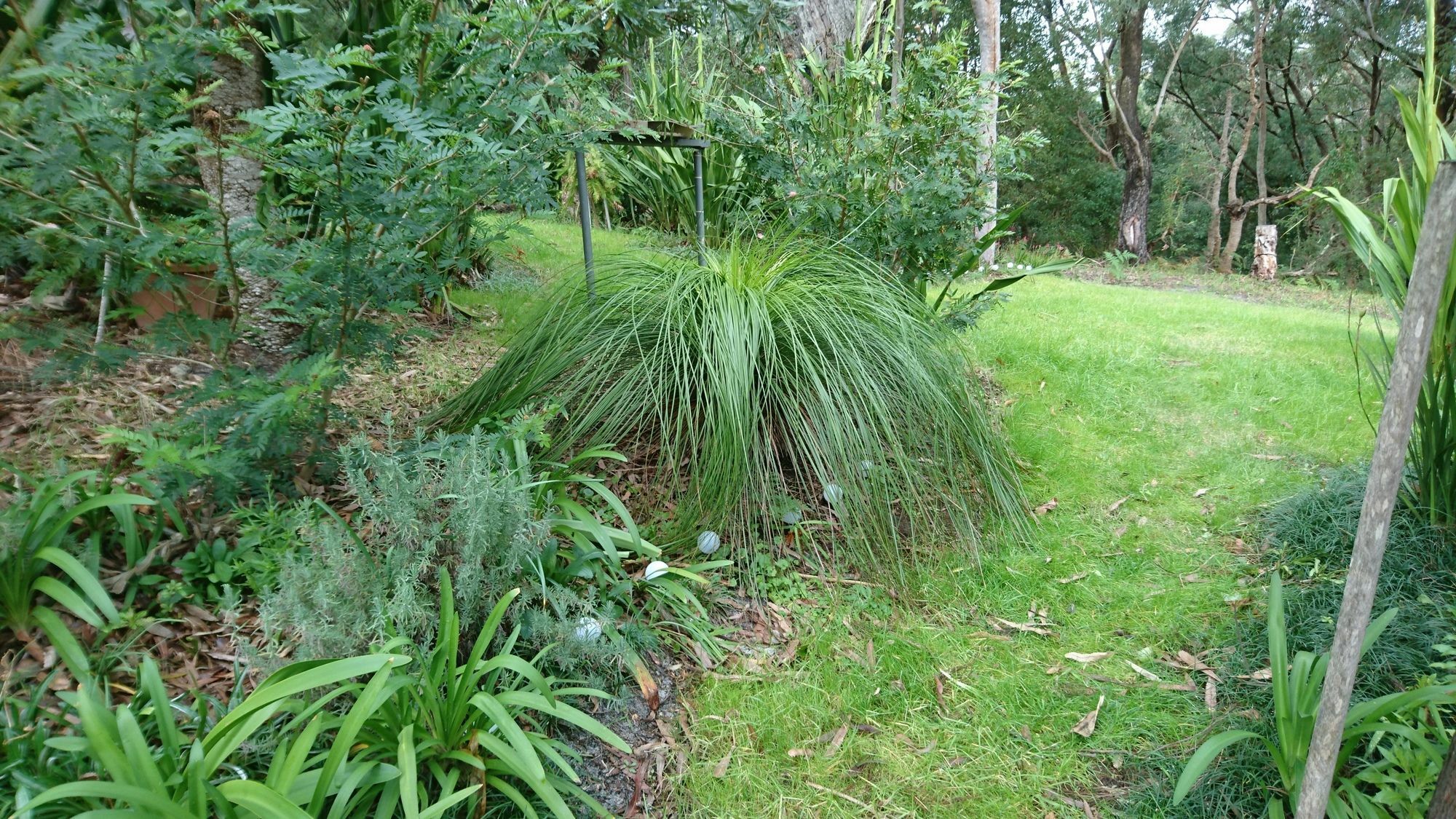 Nelson Bay Bed & Breakfast Luaran gambar