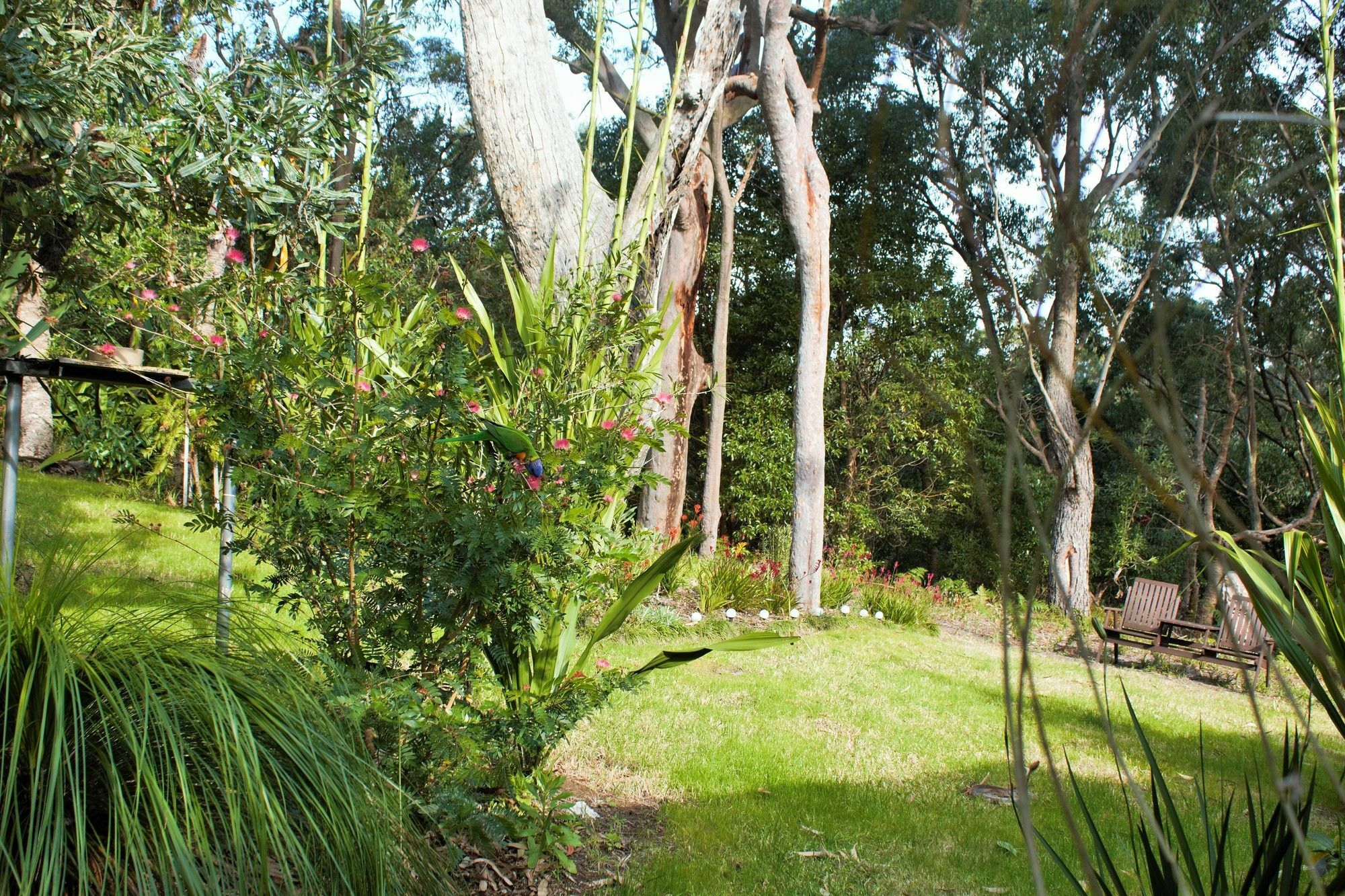Nelson Bay Bed & Breakfast Luaran gambar