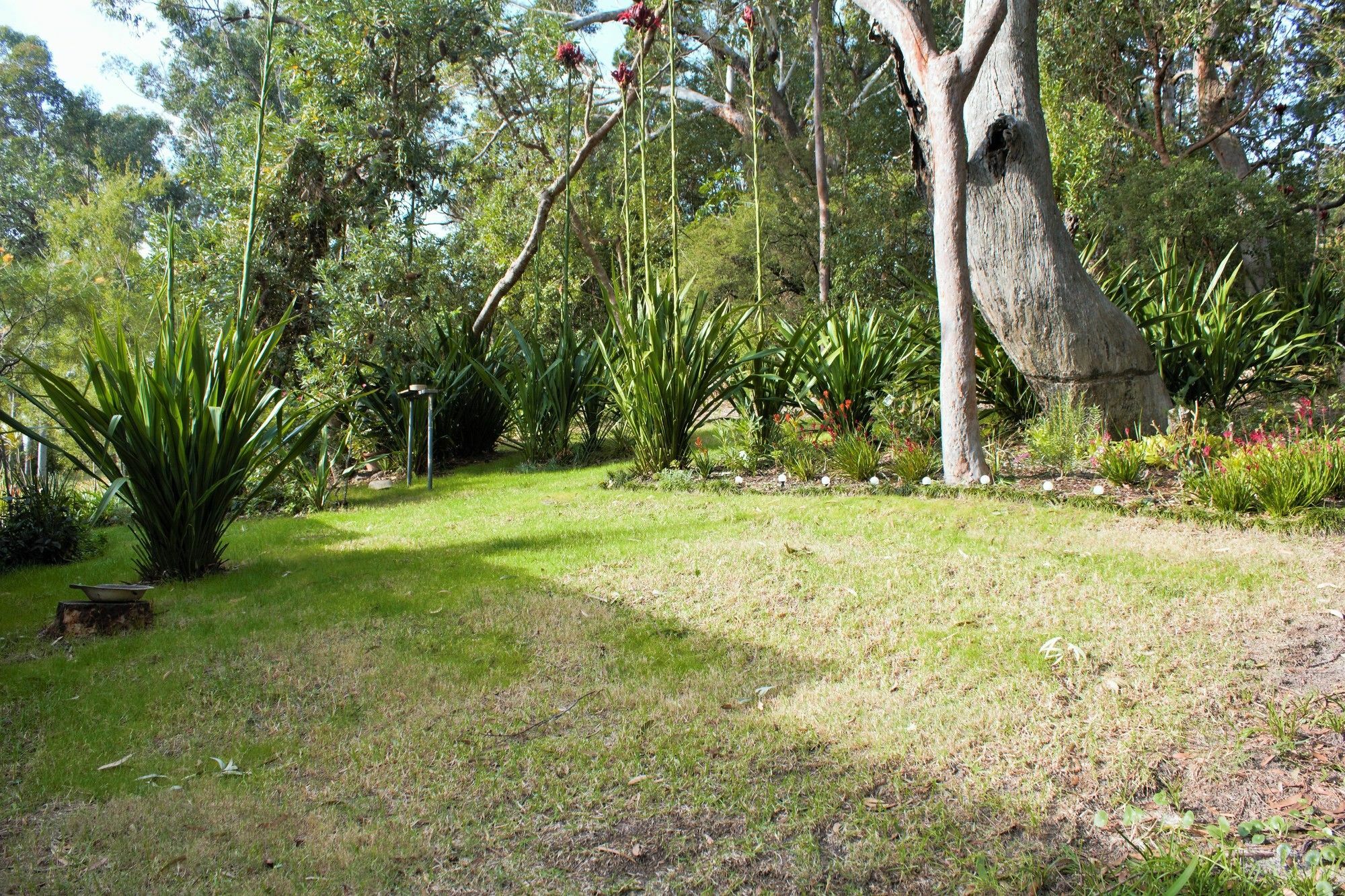 Nelson Bay Bed & Breakfast Luaran gambar